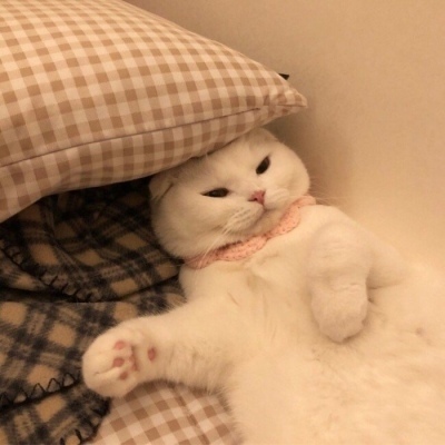 U23亚洲杯变东亚杯，不排除亚足联改革