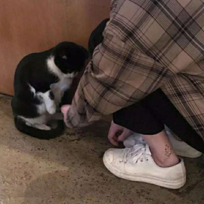 斯诺克最新战报：4强已出其2、赵心童出局